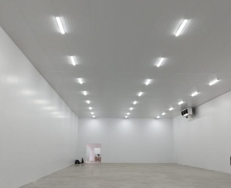 Interior de câmara fria